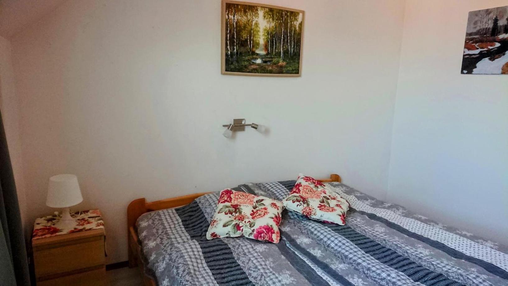 Apartmany U Lipno Frymburk Extérieur photo